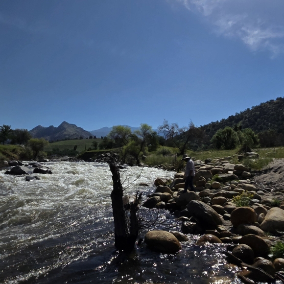 Meet your Posher, Kat - Picture 2 of 5